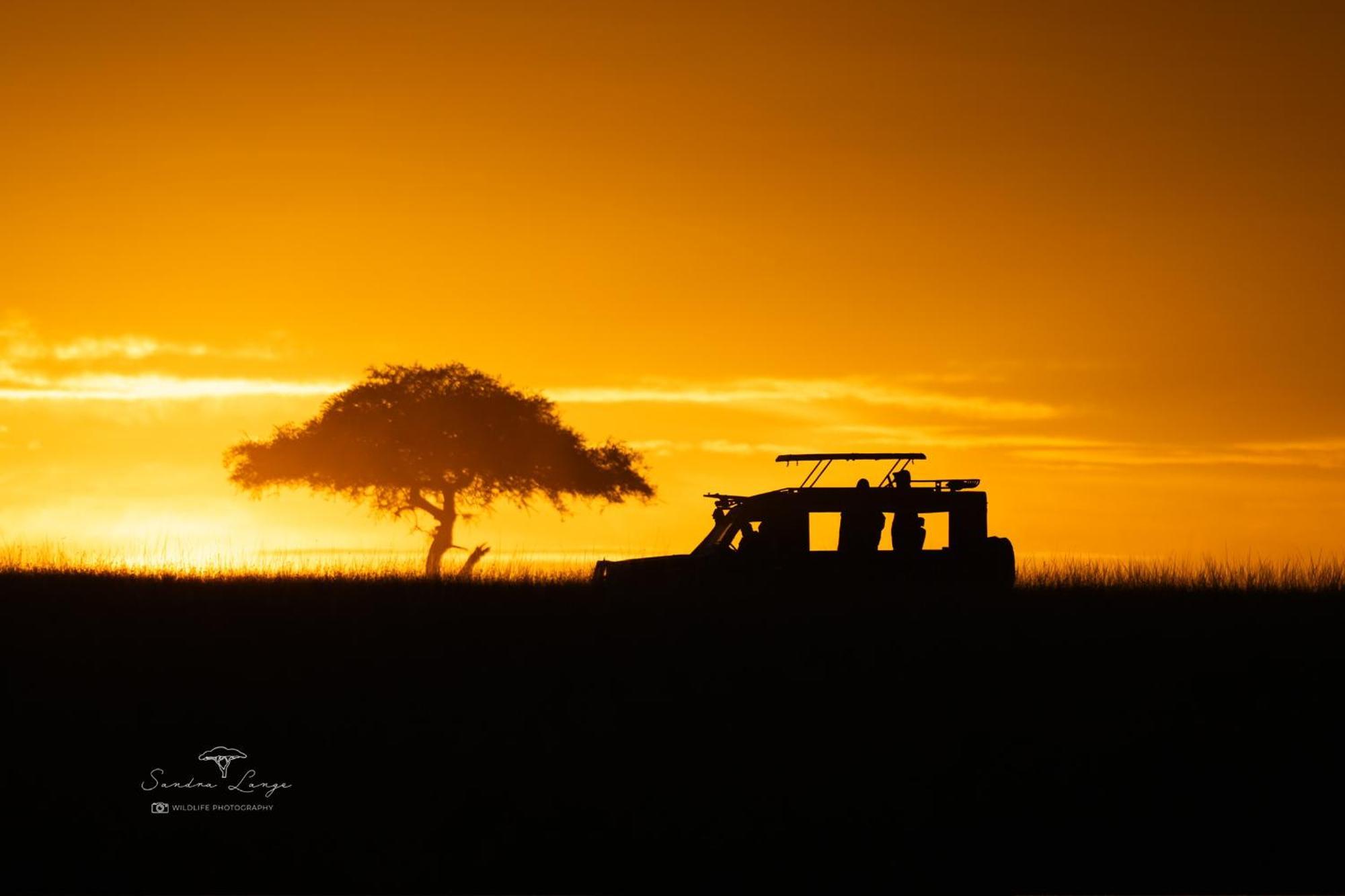 Lodge Olkinyei Mara Tented Camp