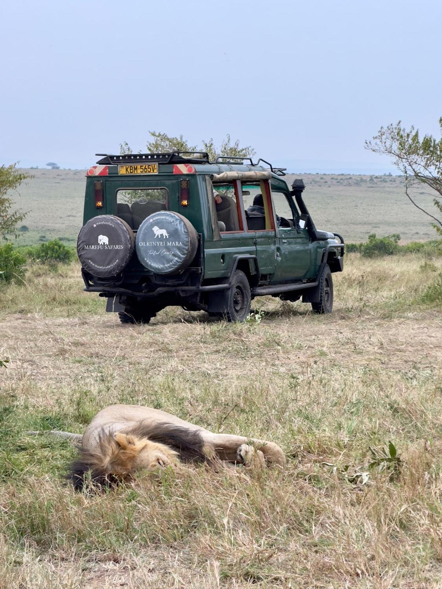 Olkinyei Mara Tented Camp * Talek