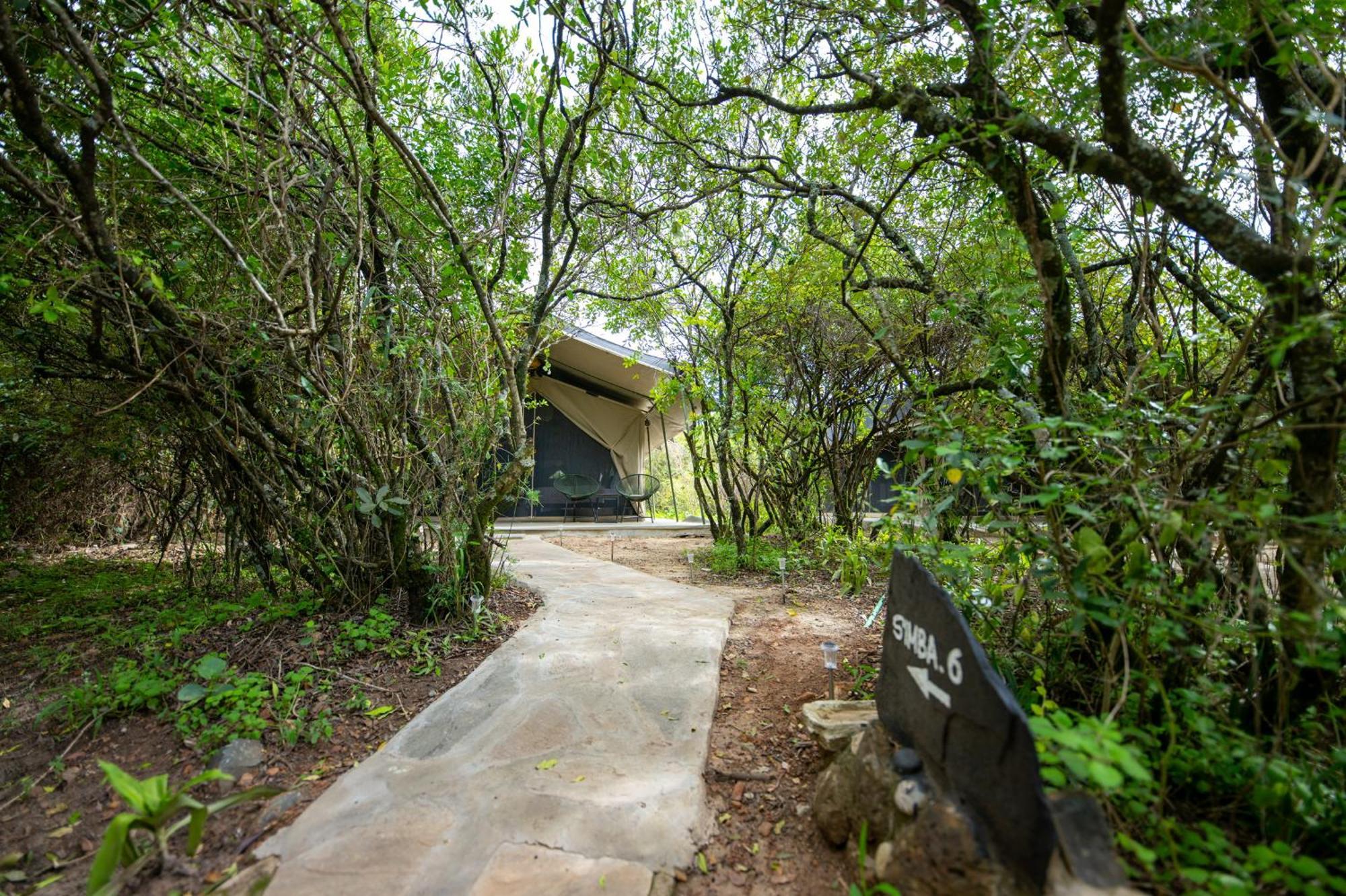Lodge Olkinyei Mara Tented Camp Talek